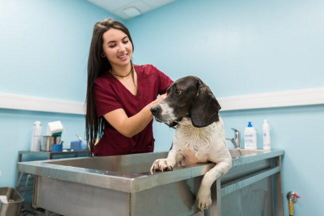 Photographe reportage photo d'entreprise Meyreuil