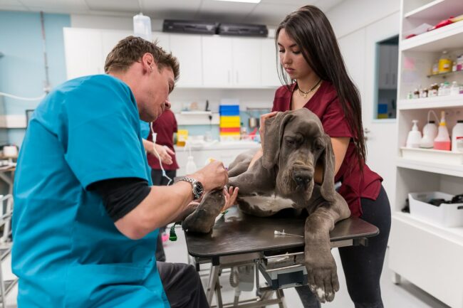Réalisation de reportage photo pour entreprise et institution Berre l’étang