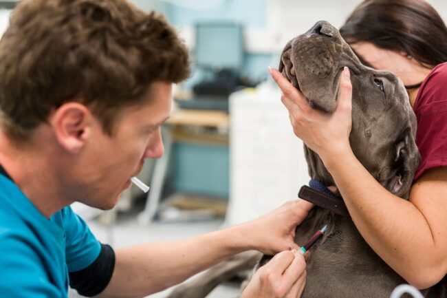 Réalisation de reportage photo pour entreprise et institution Martigues