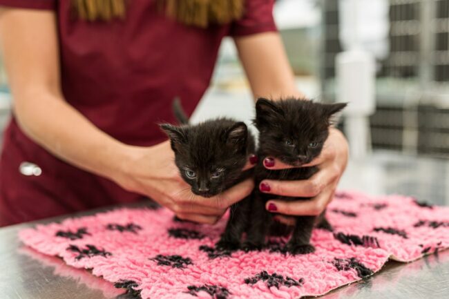 Réalisation de reportage photo pour entreprise et institution Meyreuil