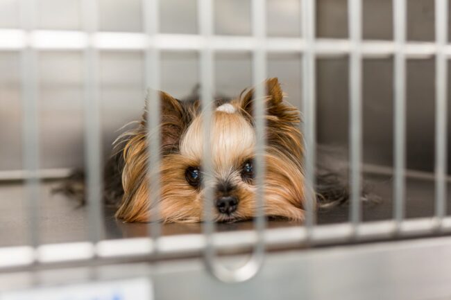 Reportage entreprise Aubagne