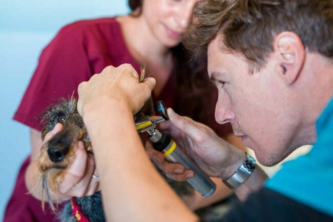 Reportage entreprise Berre l’étang