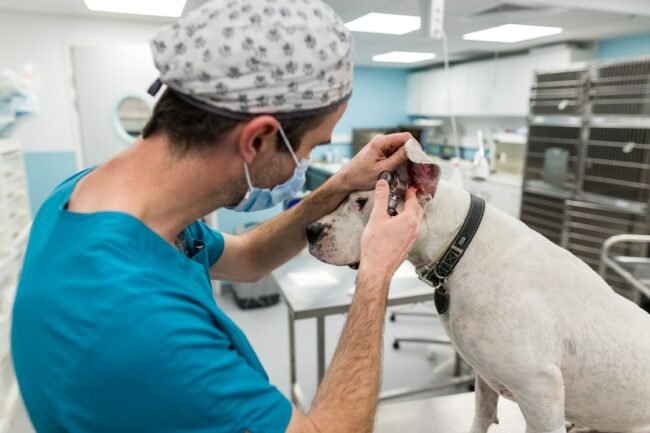 Reportage photo d'entreprise Meyreuil
