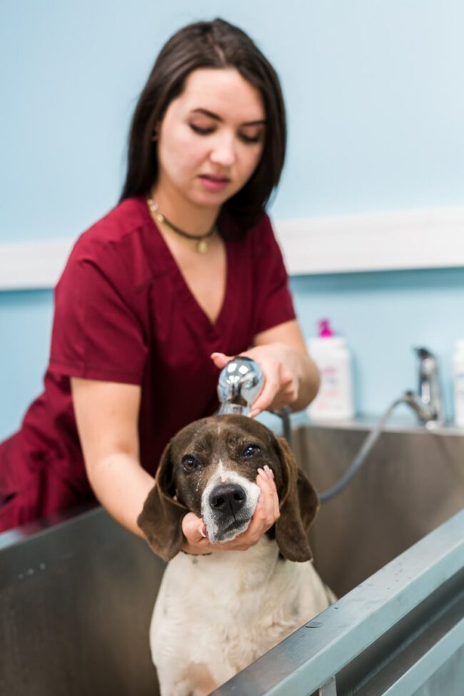 Reportage photo d'entreprise Salon de Provence