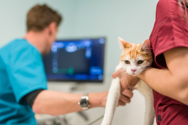 Reportage photo en entreprise Aubagne