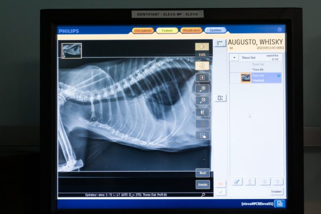 Reportage photo en entreprise Marignane