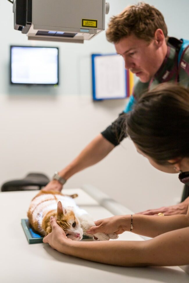 Reportage photo en entreprise Martigues