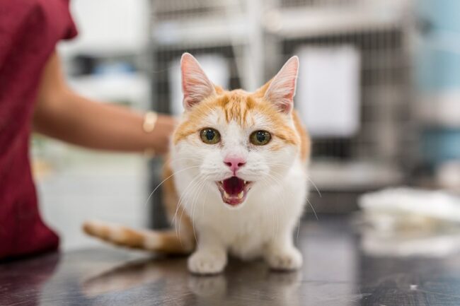 Reportage photo en entreprise Miramas