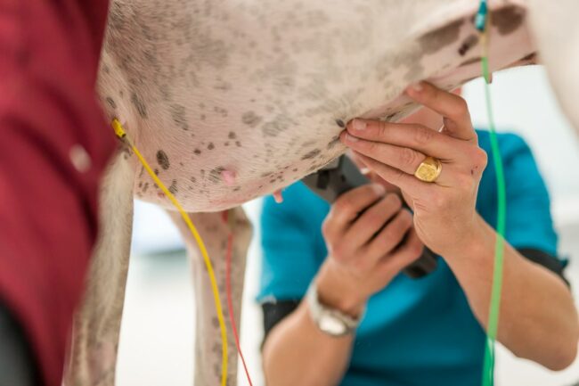 Reportage photo entreprise Berre l’étang
