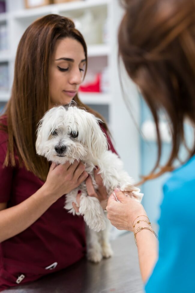 Reportage photo entreprise Fos sur Mer