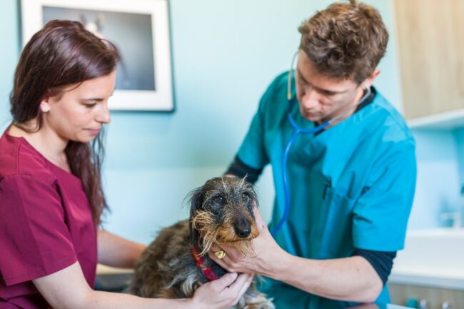 Reportage photo entreprise Marignane