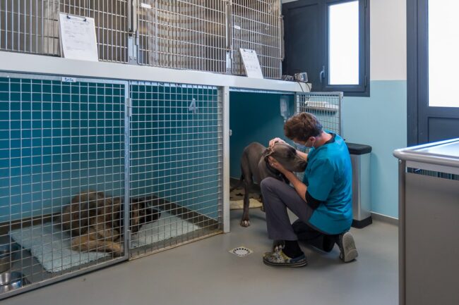 Reportage photo entreprise Martigues