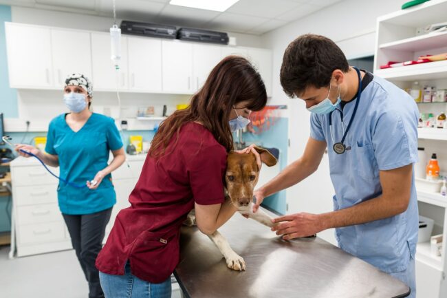 Reportage photo entreprise Meyreuil