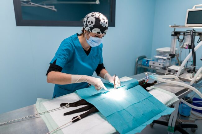 Reportage photo entreprise Miramas