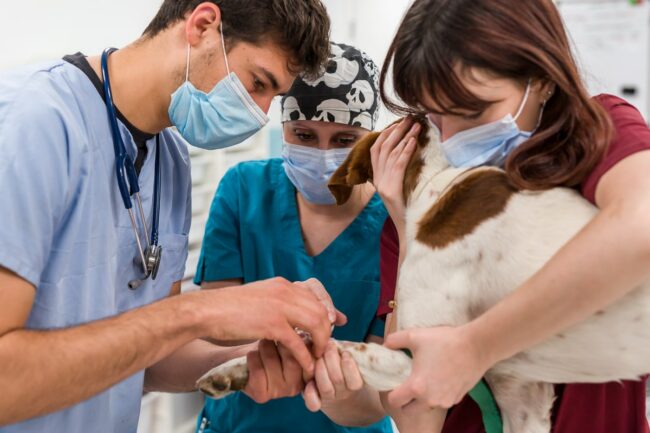 Reportage photo professionnel Istres