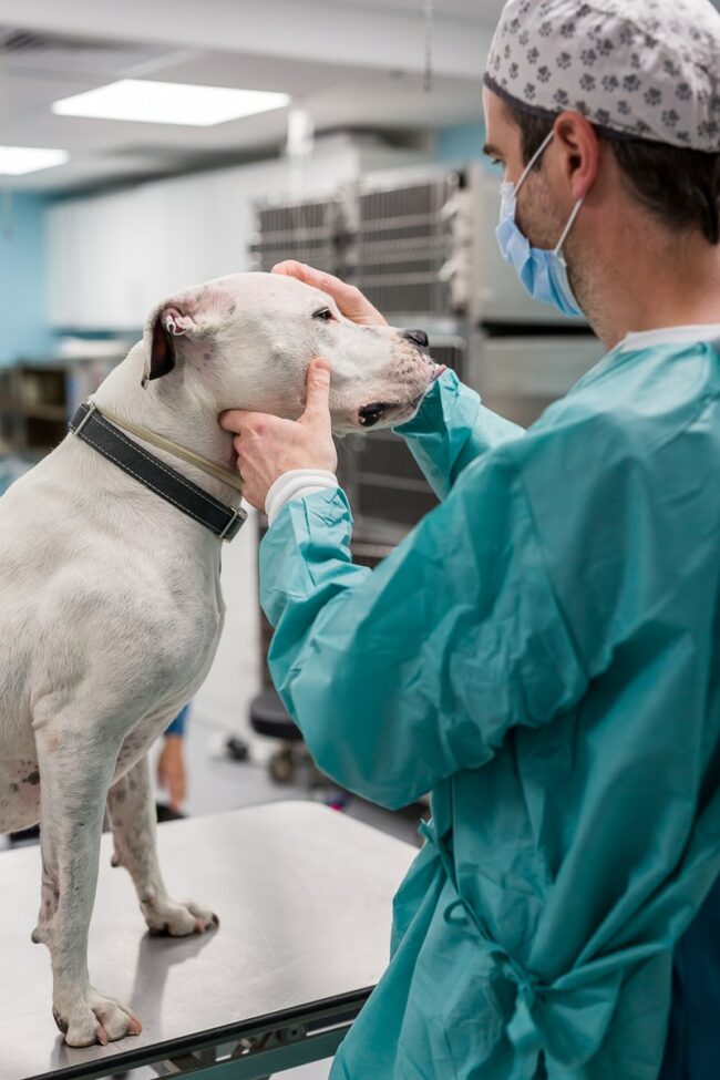 Reportage photo professionnel Marignane