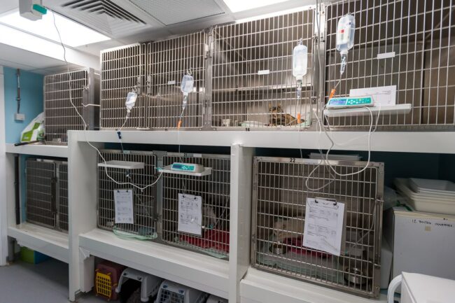 Reportage photo professionnel Salon de Provence