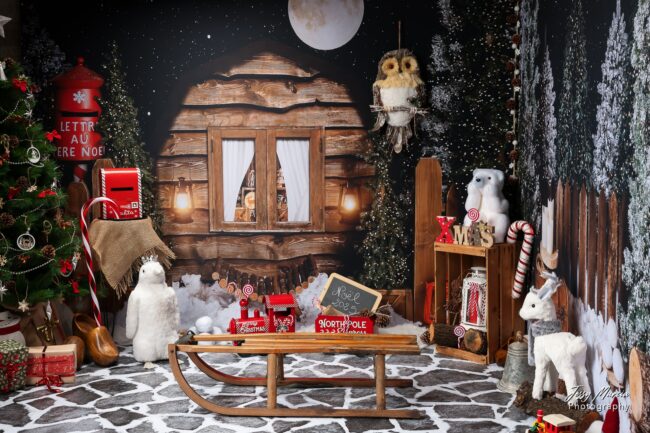 Décor Mini séance de noël 2025