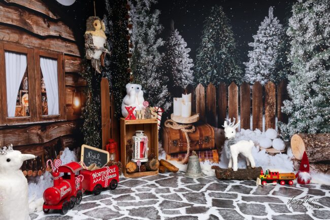 Décor Mini séance de noel 2025-3
