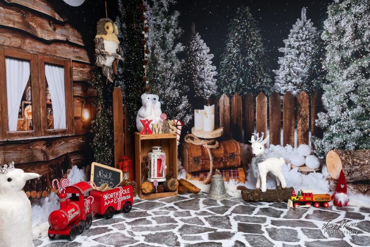 Décor Mini séance de noel 2025-3