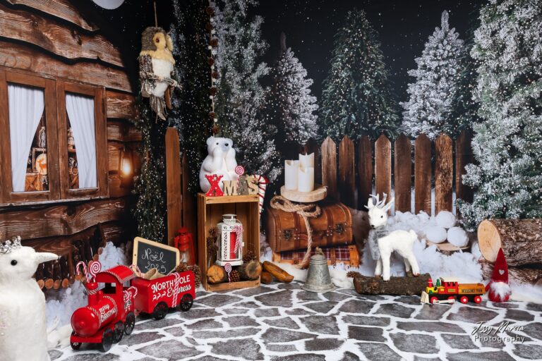 Décor Mini séance de noel 2025-3