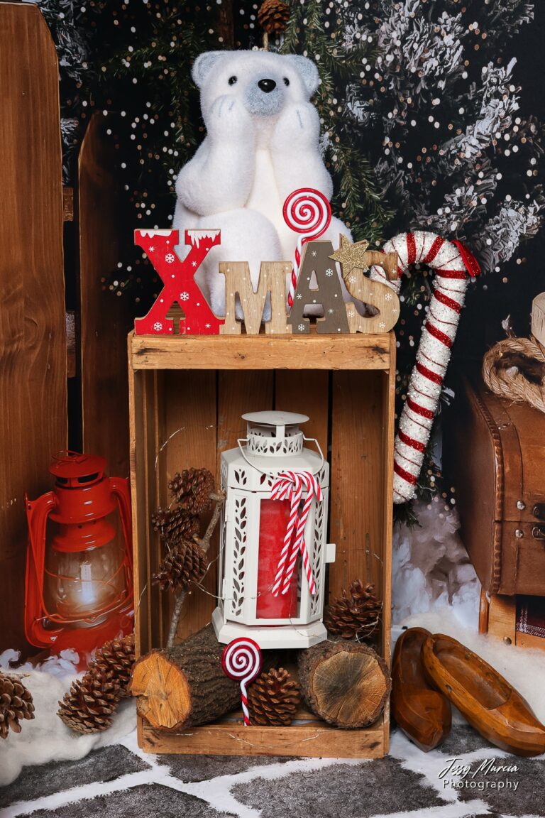 Décor Mini séance de noel 2025-4
