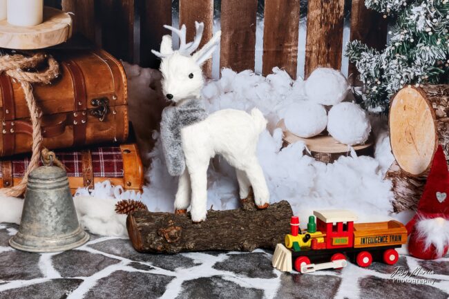Décor Mini séance de noel 2025-5