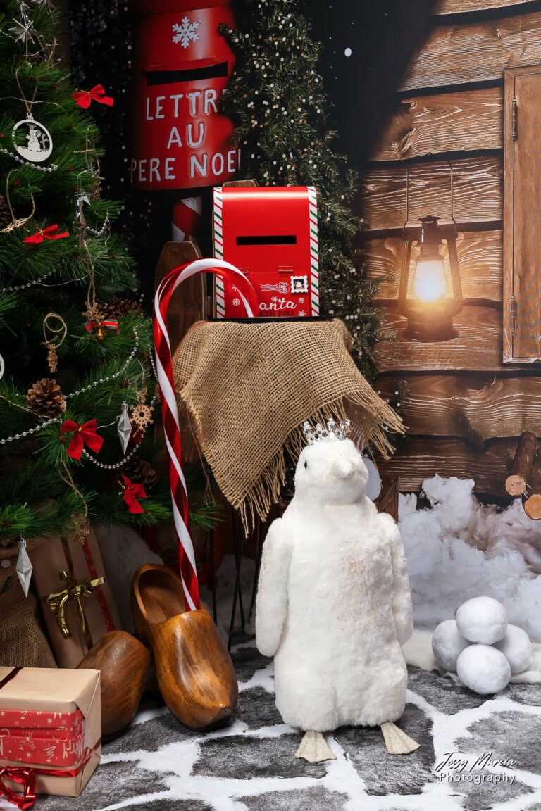 Décor Mini séance de noel 2025-6