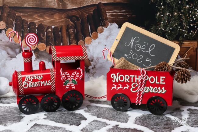 Décor Mini séance de noel 2025-7